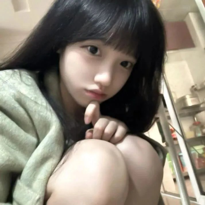 北方的金丝雀